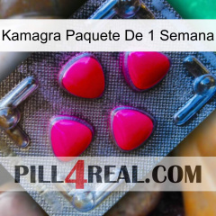 Kamagra 1 Week Pack 13